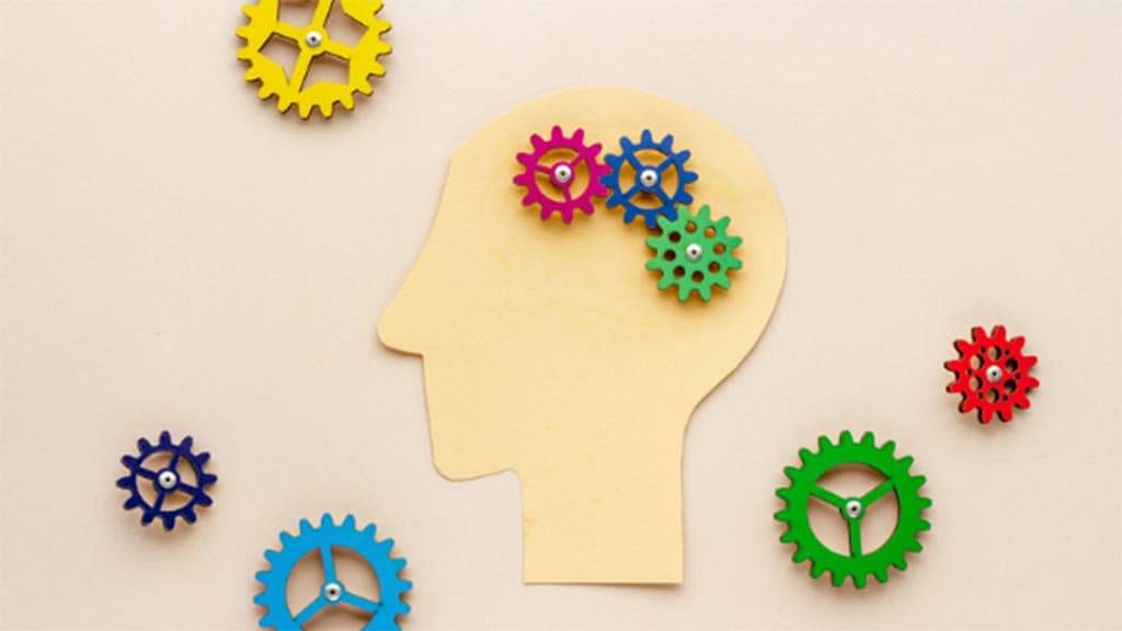 positive behaviour support image of head and cogs