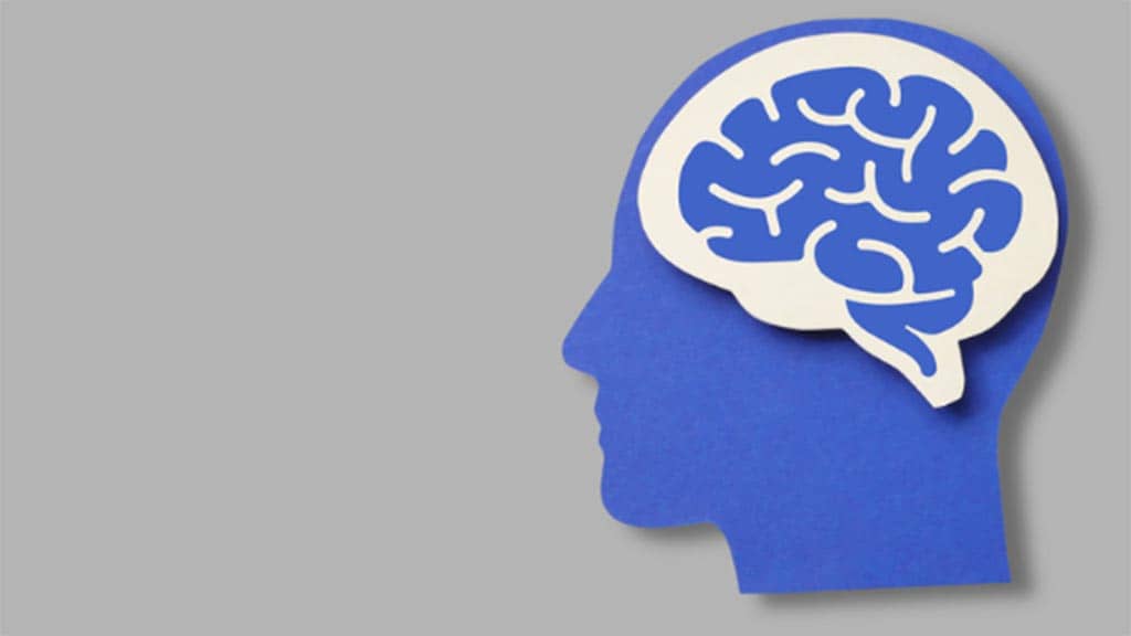 positive behaviour support image of head and brain